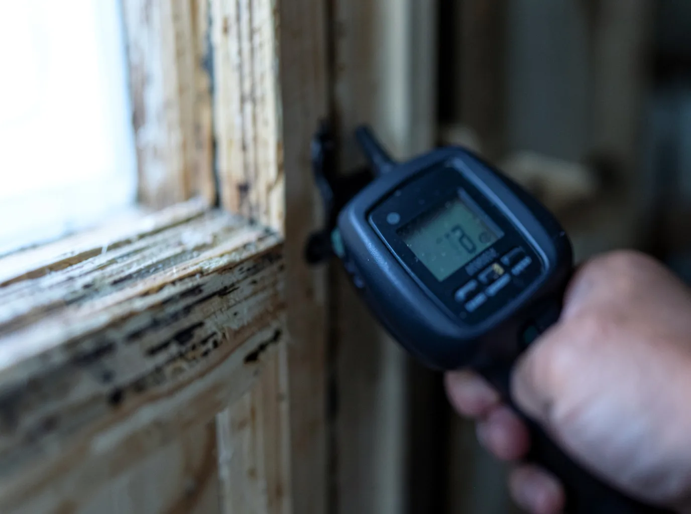 Moisture Inspection And Documentation in Shokan, NY